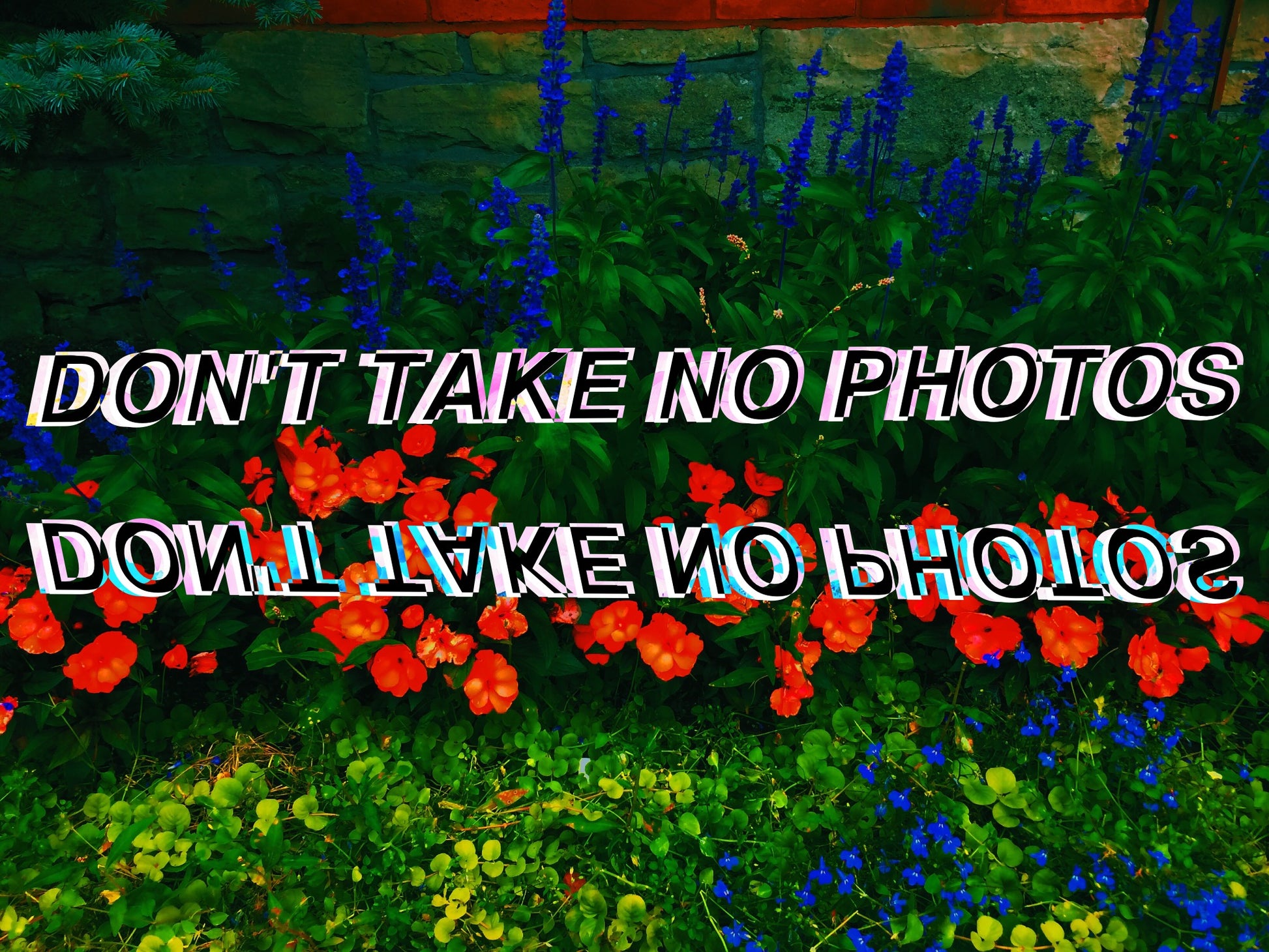 DON'T TAKE NO PHOTOS - Limited Print by BOYSDONTDRAW